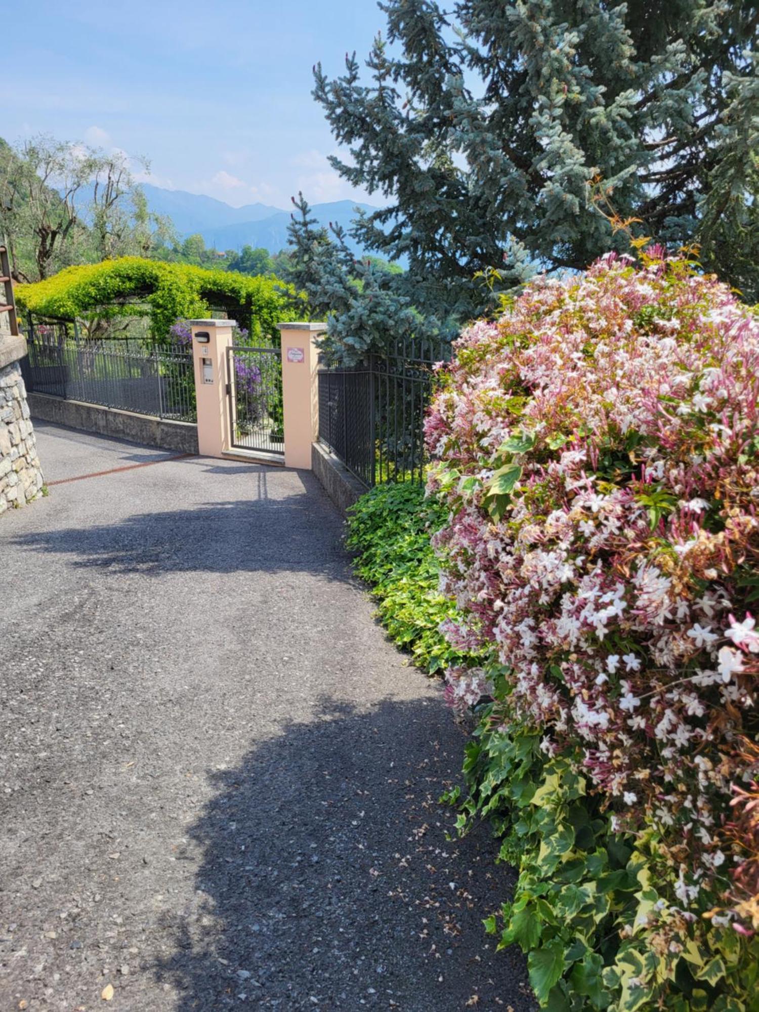 Casa Intignano - Appartamento Con Terrazzo Vista Lago Tremezzo Bagian luar foto