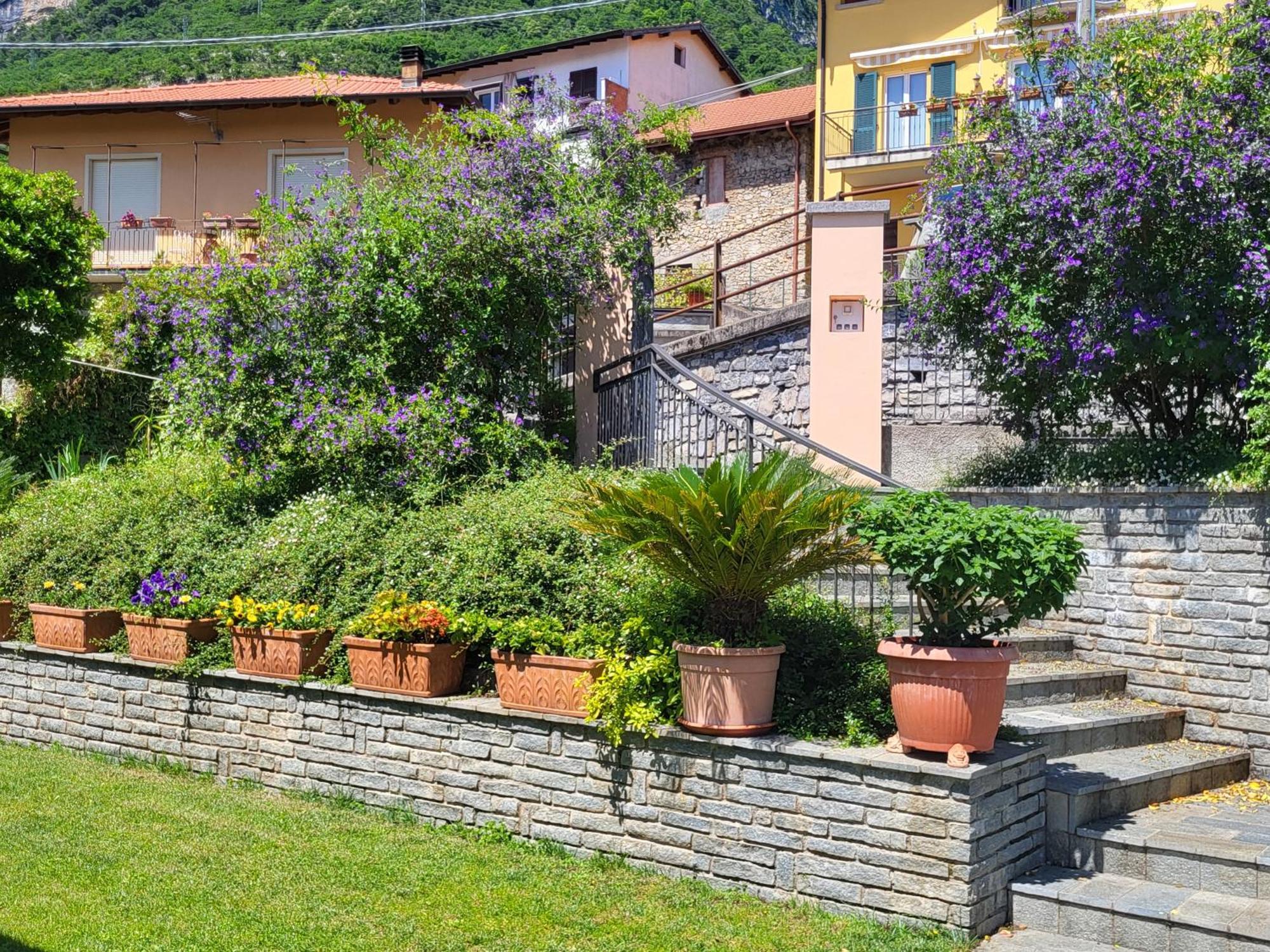 Casa Intignano - Appartamento Con Terrazzo Vista Lago Tremezzo Bagian luar foto
